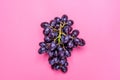 Natural organic black juicy grapes on a trend pink background Top View Flat Lay. Rustic Style. Country Village Royalty Free Stock Photo