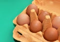 Natural organic eggs in cardboard package on green background. Chicken egg in box Royalty Free Stock Photo