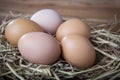 Natural organic eggs on chicken hatching nest Royalty Free Stock Photo