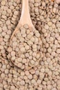 Natural organic green lentils for healthy food Royalty Free Stock Photo