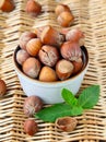 Natural organic hazelnuts in a bowl Royalty Free Stock Photo