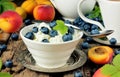 Natural organic and healthy summer food: fresh cottage cheese bl Royalty Free Stock Photo