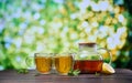 natural organic herbal tea in glass teapot and cup on a wooden table