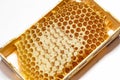 Natural organic honey in honeycomb in wooden frame on white background Royalty Free Stock Photo