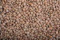 Natural organic lentils for healthy food Royalty Free Stock Photo