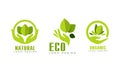 Natural Organic Logo Templates Set. Eco, Bio Food, Cosmetic Products Badges with Set with Green Leaves Flat Vector Royalty Free Stock Photo