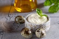Natural organic mayonnaise Royalty Free Stock Photo