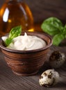 Natural organic mayonnaise Royalty Free Stock Photo