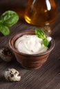 Natural organic mayonnaise Royalty Free Stock Photo
