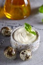 Natural organic mayonnaise Royalty Free Stock Photo