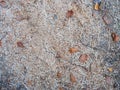 Natural organic mulch with wood chips bark and leaves