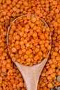 Natural organic red lentils for healthy food Royalty Free Stock Photo