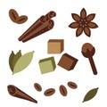 Natural Organic Spices Icons