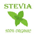 Natural organic stevia banner. Vector illustration in flat style.