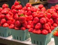 Natural organic strawberries. Royalty Free Stock Photo
