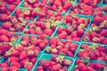 Natural organic strawberries in pint baskets at local farmers market. Vibrant Colors. Summer, Autumn Harvest. Healthy Royalty Free Stock Photo