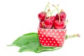Natural organic summer nutrition big ripe cherry berry