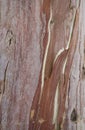 Natural original wooden background in close-up