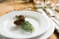 Natural ornaments for Christmas table setting Royalty Free Stock Photo