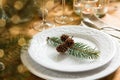 Natural ornaments for Christmas table setting Royalty Free Stock Photo