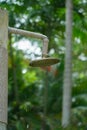 Natural outdoor shower head mounted on a wooden pole designed for showering before jumping into the resort pool.Outdoor shower