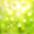 Natural outdoors bokeh realistic background in green and yellow tones