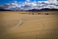 Natural-park, Corralejo , Fuerteventua, Canary Islands, Spain Royalty Free Stock Photo