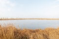 The natural park of the delta del ebro in Tarragona Royalty Free Stock Photo