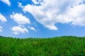 Natural park with forest and blue sky. Spring season Royalty Free Stock Photo