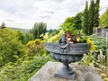 Natural park at Konstanz Lake Royalty Free Stock Photo