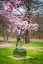 Natural Park, trees, flowers