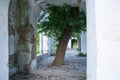 Natural park under the open sky in spring, ruins with columns ancient architecture ancient buildings of the castle