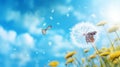 Natural pastel background. Morpho butterfly and dandelion. Royalty Free Stock Photo