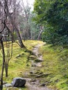 Natural Path at Tenryuji Temple, Arashiyama, Kyoto, Japan Royalty Free Stock Photo