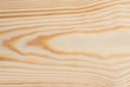 The natural pattern of a clean and freshly cut pine tree plank. Wood grain structure Royalty Free Stock Photo