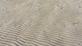 A natural pattern created by the sea. Photos of undulating sea sand.