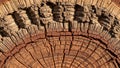 Natural pattern is used in dendrochronology to study a tree s age Royalty Free Stock Photo
