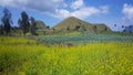 Natural pattern at Wurung Crater, Bondowoso, East Java, Indonesia