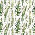 Seamless pattern of hand-drawn watercolor sketch elements fern and grass. Evergreen woodland plants. Simple natiral