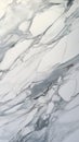 Natural patterned white marble texture, perfect for elegant designs