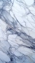 Natural patterned white marble texture, perfect for elegant designs