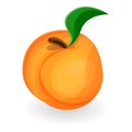 Natural peach icon, cartoon style