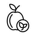 Natural peach icon vector. Isolated contour symbol illustration