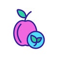 Natural peach icon vector. Isolated contour symbol illustration