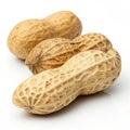 Natural peanut on transparent background Royalty Free Stock Photo