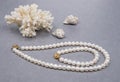 Natural pearl necklace bracelet seashell and coral on gray background. Elegant fashion style