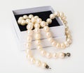 Natural pearl white beads Royalty Free Stock Photo