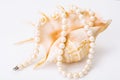 Natural pearl white beads Royalty Free Stock Photo