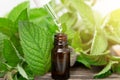Natural Peppermint Essential Oil In A Glass Bottle With Fresh Mint Leaves On Wooden Background