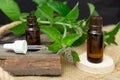 Natural peppermint essential oil in a glass bottle with fresh mint leaves on wooden background